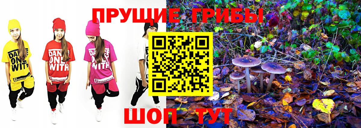 Киселёвск  Галлюциногенные грибы мицелий  Вход с VPN 