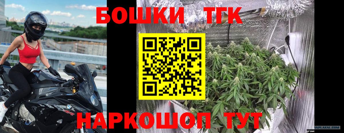 Конопля планчик Киселёвск